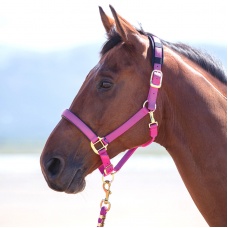 SHIRES Недоуздок "Topaz", малиновый