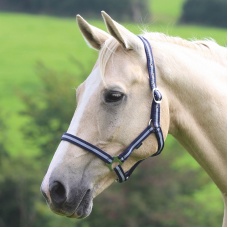SHIRES Недоуздок "Wessex", синий-серый