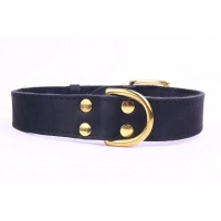 ZOOLESZCZ Ошейник для собак "Exclusive Gold", черный