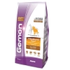 Gemon Dog Medium корм для взрослых собак средних пород с курицей 15 кг